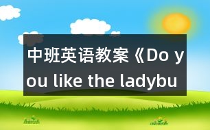 中班英語教案《Do you like the ladybug？》