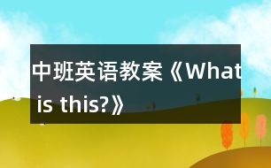 中班英語教案《What is this?》