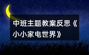 中班主題教案反思《小小家電世界》