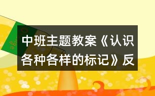 中班主題教案《認識各種各樣的標記》反思