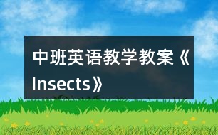 中班英語教學(xué)教案《Insects》