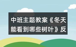 中班主題教案《冬天能看到哪些樹葉》反思