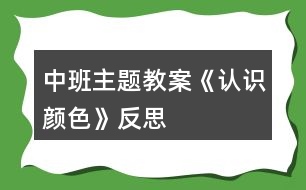 中班主題教案《認(rèn)識(shí)顏色》反思