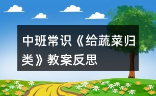 中班常識(shí)《給蔬菜歸類》教案反思