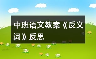 中班語文教案《反義詞》反思