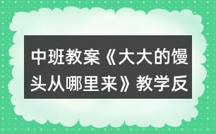 中班教案《大大的饅頭從哪里來》教學(xué)反思