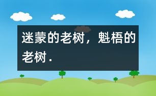 迷蒙的老樹，魁梧的老樹．