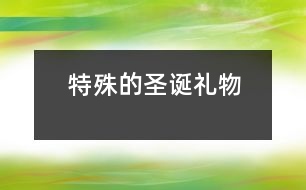 特殊的圣誕禮物