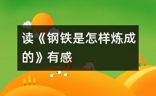 讀《鋼鐵是怎樣煉成的》有感