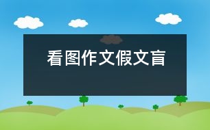 看圖作文：假文盲