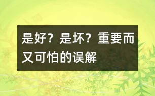 是好？是壞？——重要而又可怕的誤解