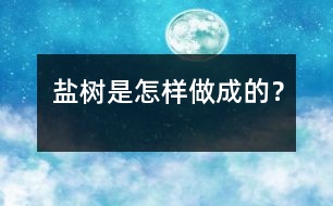 鹽樹是怎樣做成的？