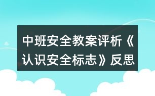 中班安全教案評(píng)析《認(rèn)識(shí)安全標(biāo)志》反思