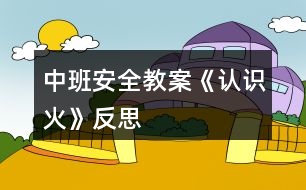 中班安全教案《認(rèn)識火》反思