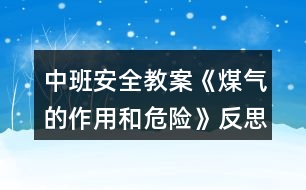 中班安全教案《煤氣的作用和危險(xiǎn)》反思