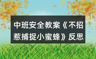 中班安全教案《不招惹捕捉小蜜蜂》反思