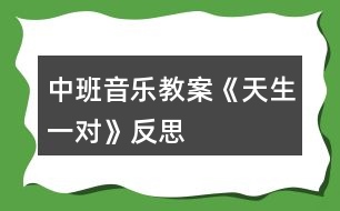 中班音樂教案《天生一對(duì)》反思