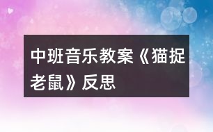 中班音樂教案《貓捉老鼠》反思