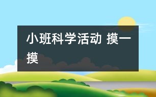 小班科學活動 摸一摸