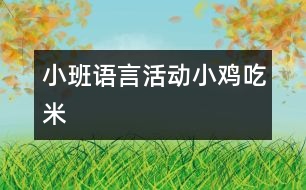 小班語言活動：小雞吃米