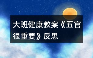 大班健康教案《五官很重要》反思