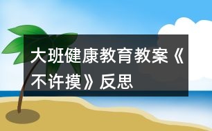 大班健康教育教案《不許摸》反思