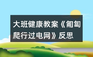 大班健康教案《匍匐爬行過電網(wǎng)》反思