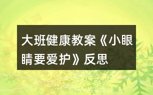 大班健康教案《小眼睛要愛(ài)護(hù)》反思