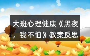 大班心理健康《黑夜，我不怕》教案反思