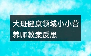 大班健康領(lǐng)域小小營(yíng)養(yǎng)師教案反思