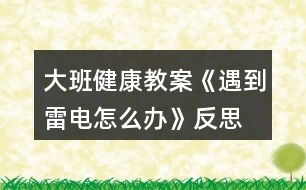 大班健康教案《遇到雷電怎么辦》反思