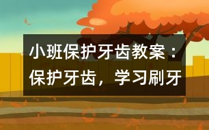 小班保護牙齒教案 :保護牙齒，學習刷牙