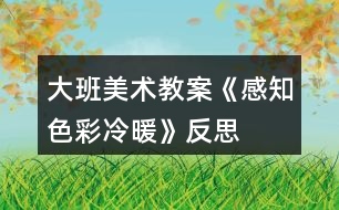 大班美術教案《感知色彩冷暖》反思