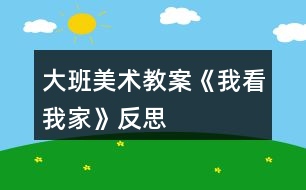 大班美術教案《我看我家》反思