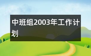 中班組2003年工作計(jì)劃