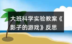 大班科學實驗教案《影子的游戲》反思