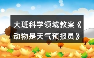 大班科學(xué)領(lǐng)域教案《動物是天氣預(yù)報員》反思