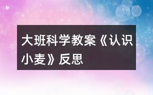 大班科學教案《認識小麥》反思