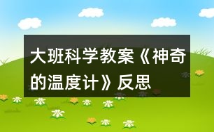 大班科學(xué)教案《神奇的溫度計》反思