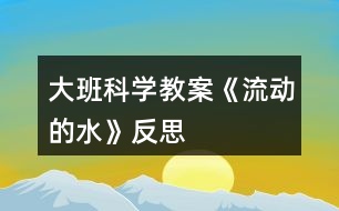 大班科學(xué)教案《流動(dòng)的水》反思