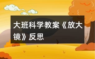 大班科學教案《放大鏡》反思