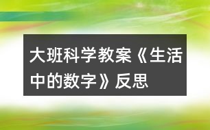 大班科學(xué)教案《生活中的數(shù)字》反思