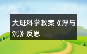 大班科學(xué)教案《浮與沉》反思