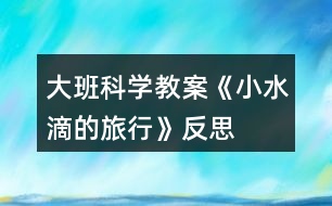 大班科學(xué)教案《小水滴的旅行》反思