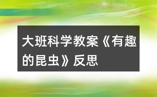 大班科學(xué)教案《有趣的昆蟲》反思