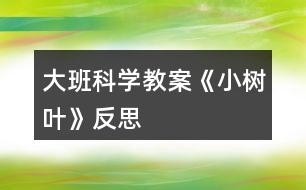 大班科學教案《小樹葉》反思