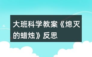 大班科學(xué)教案《熄滅的蠟燭》反思