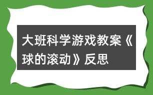 大班科學(xué)游戲教案《球的滾動(dòng)》反思