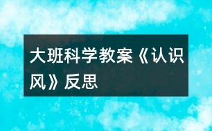 大班科學(xué)教案《認(rèn)識風(fēng)》反思