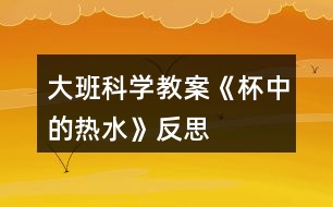 大班科學(xué)教案《杯中的熱水》反思